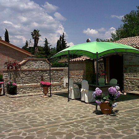 Societa Agricola Mg Florplant Villa Francavilla Marittima Екстериор снимка