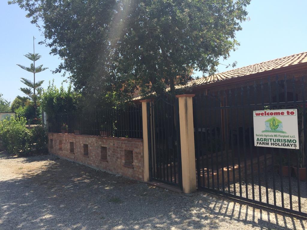 Societa Agricola Mg Florplant Villa Francavilla Marittima Екстериор снимка
