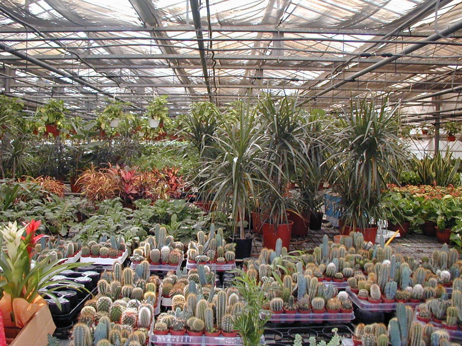 Societa Agricola Mg Florplant Villa Francavilla Marittima Екстериор снимка